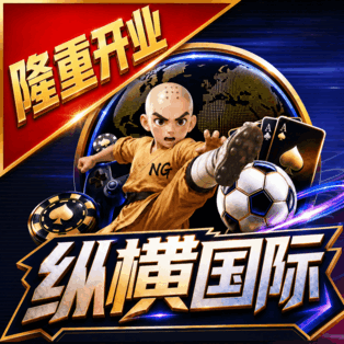 纵横国际